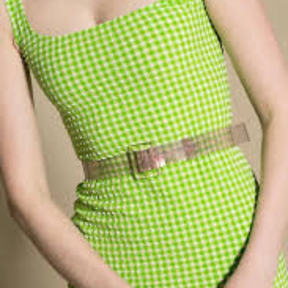 MARYAM NASSIR ZADEH Rose Soledad Belt XS/S